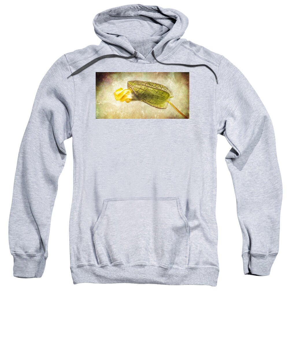 Bud Sweatshirt featuring the photograph Emerging by Caitlyn Grasso