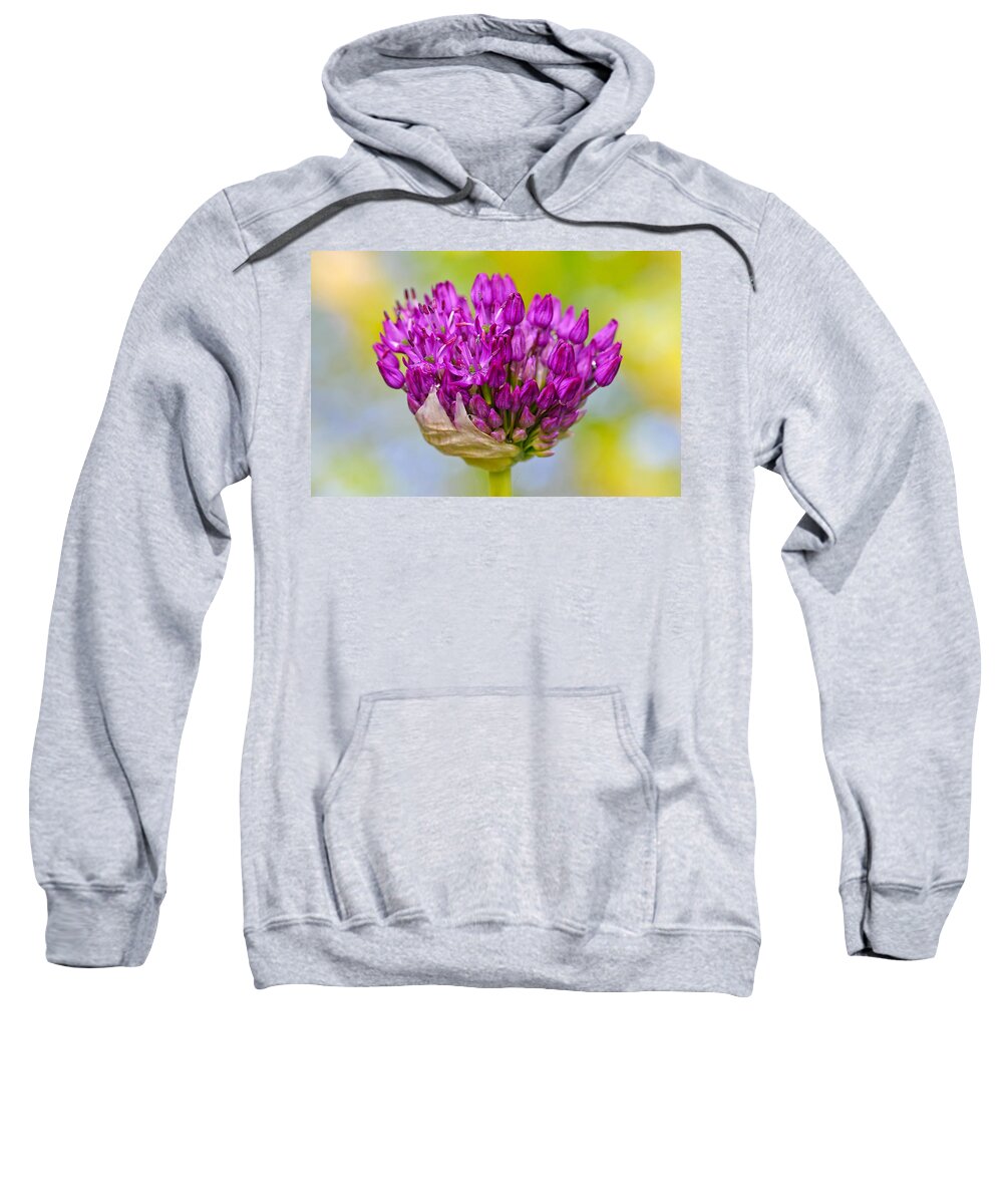 Flower Sweatshirt featuring the photograph Emerging by Liz Mackney