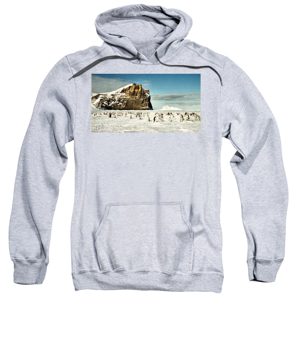 Landscape Sweatshirt featuring the photograph Emperor Penguin Colony Cape Washington Antarctica by Carole-Anne Fooks