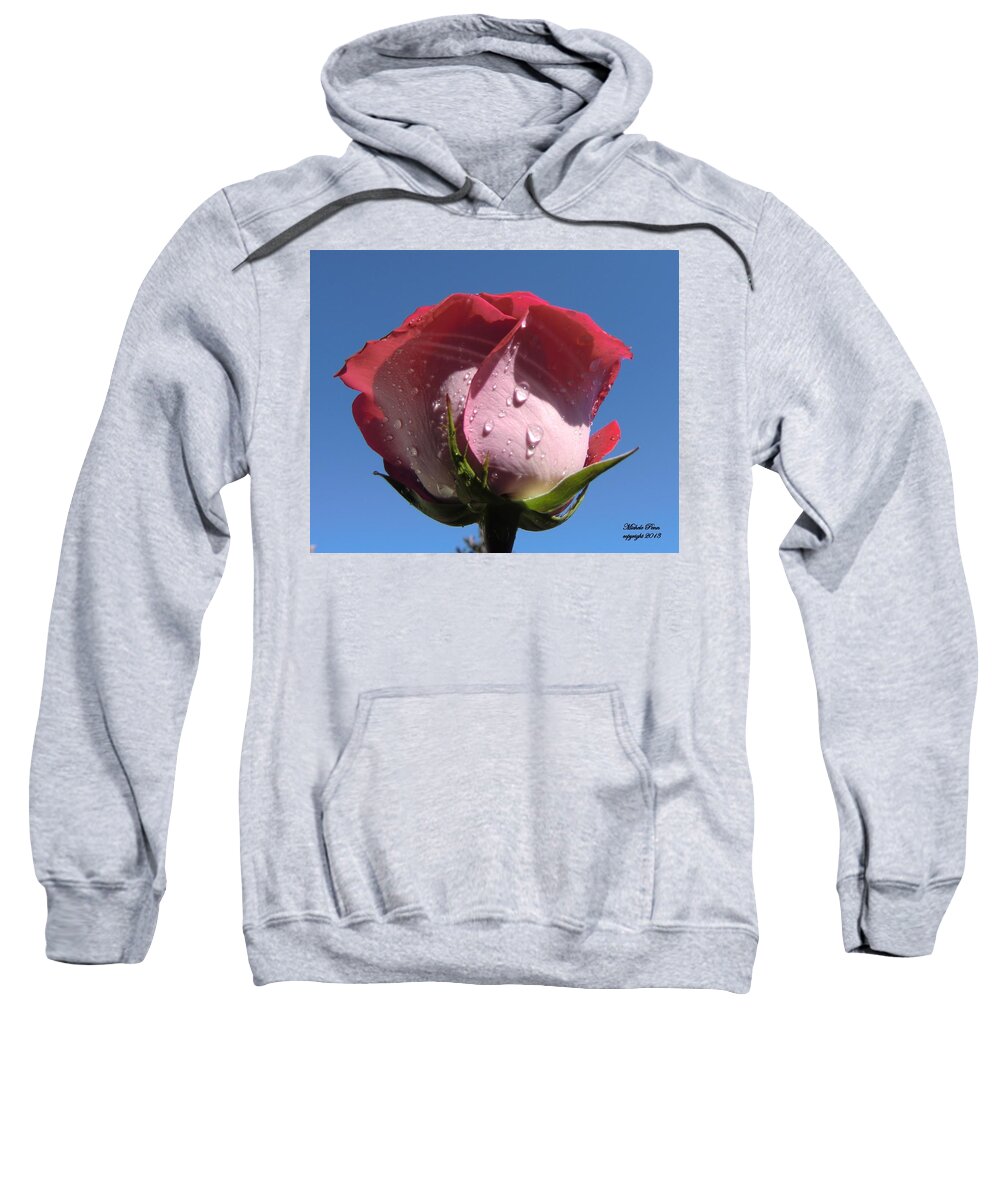 Pink Sweatshirt featuring the photograph Excellence Centered by Michele Penn