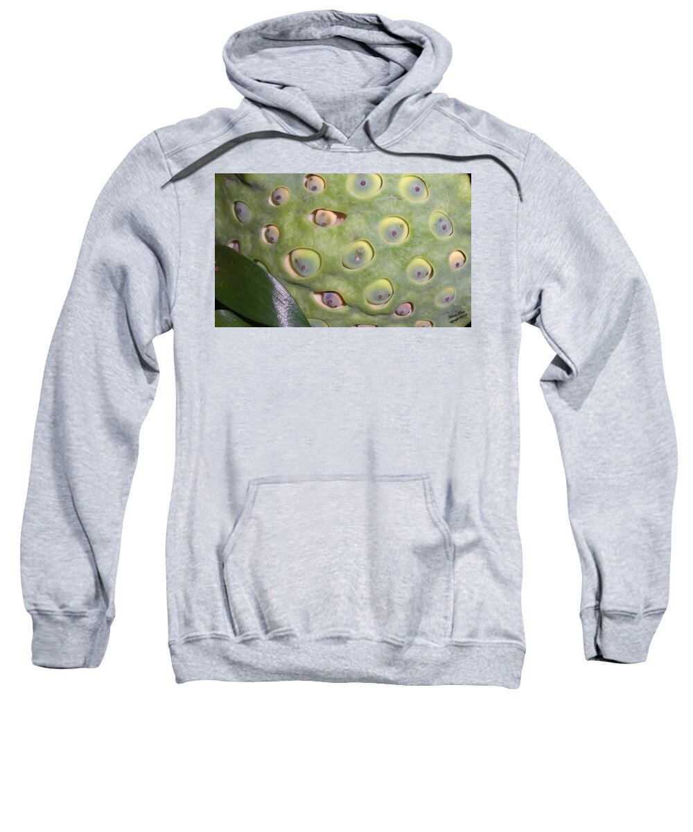 Flower Photograph Sweatshirt featuring the photograph Eye See You 2 by Michele Penn