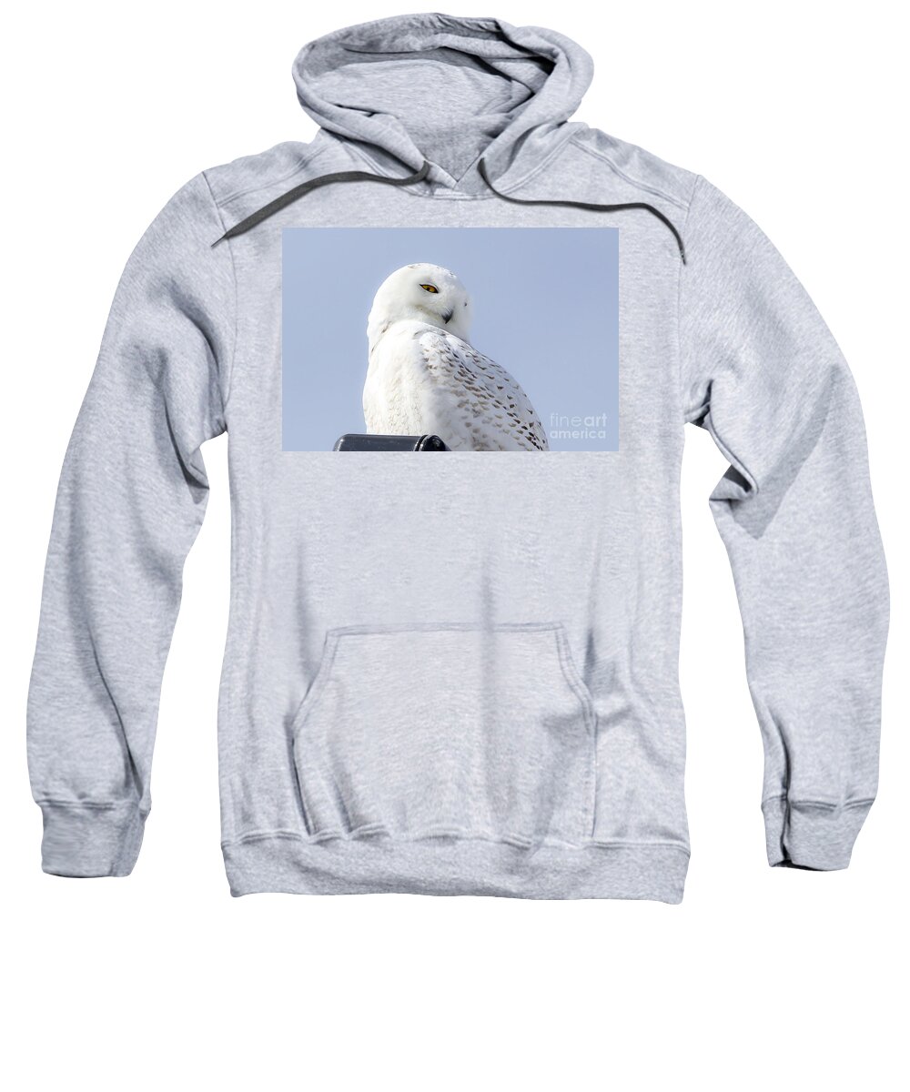 Maine Sweatshirt featuring the photograph Eyes on You by Karin Pinkham