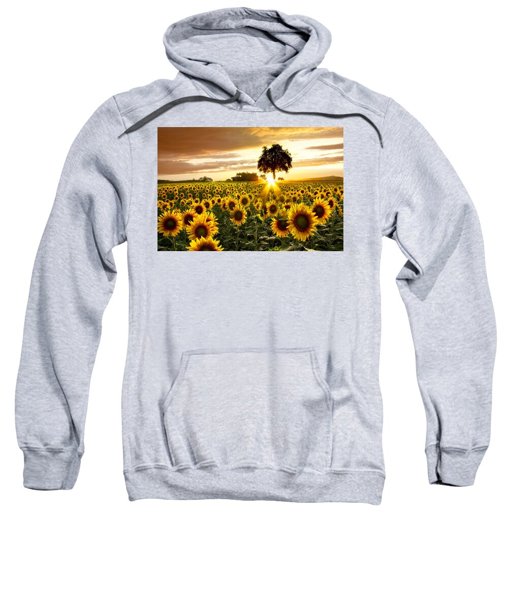 Appalachia Sweatshirt featuring the photograph Fields of Gold by Debra and Dave Vanderlaan