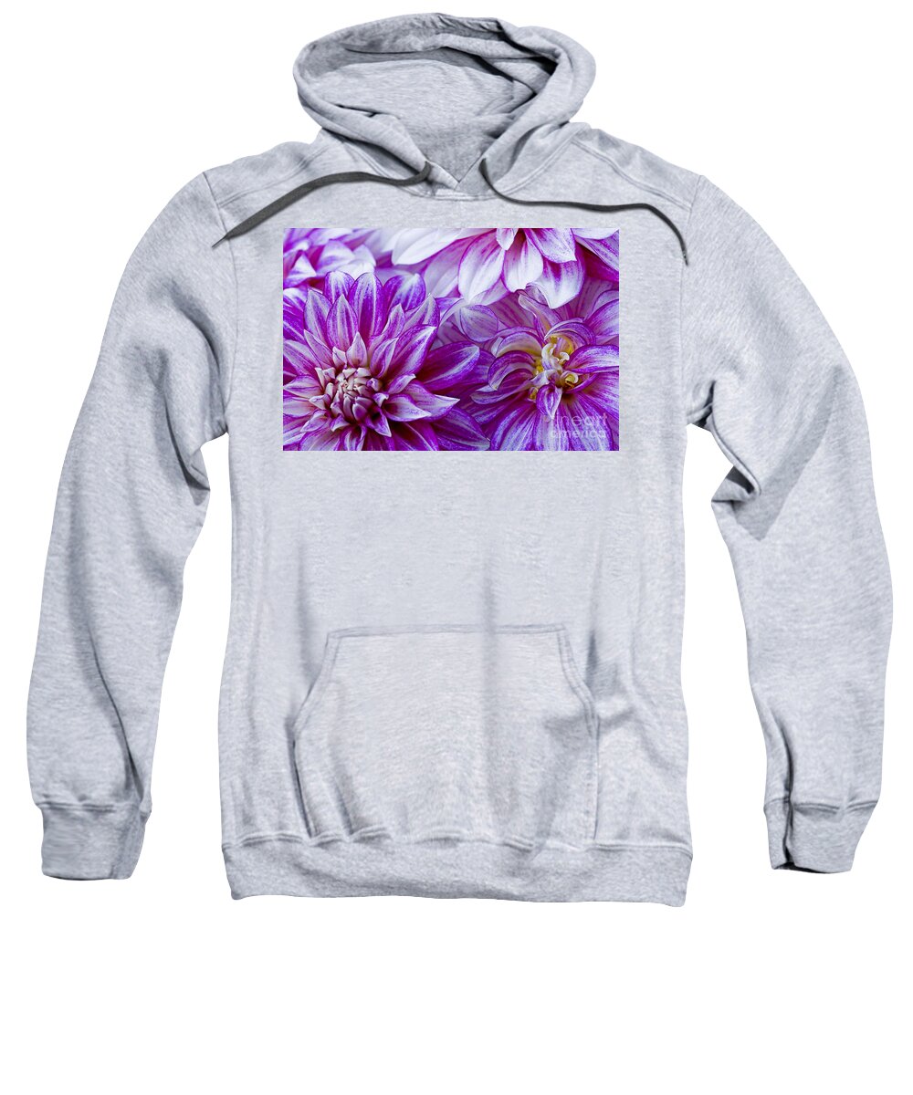  Bloom Sweatshirt featuring the photograph Filling The Frame by Nick Boren