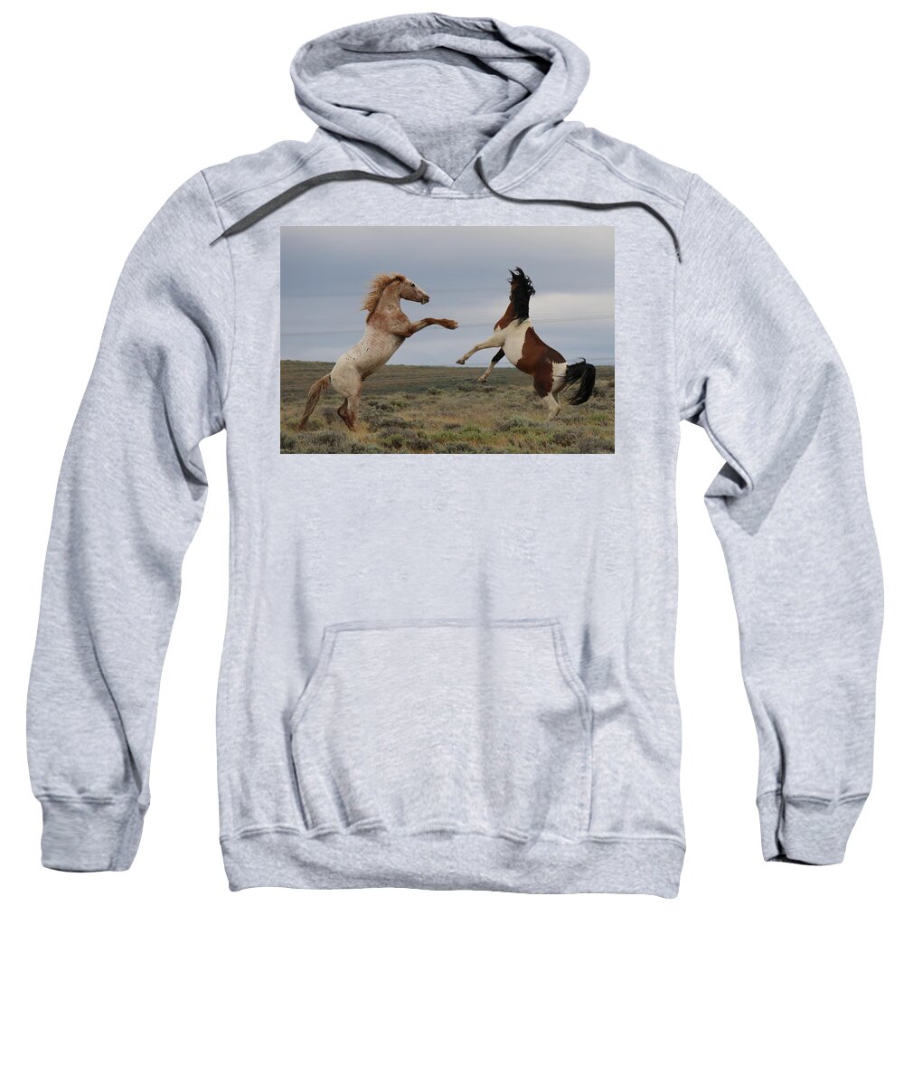 Sweatshirt featuring the photograph Fist Fight by Christy Pooschke