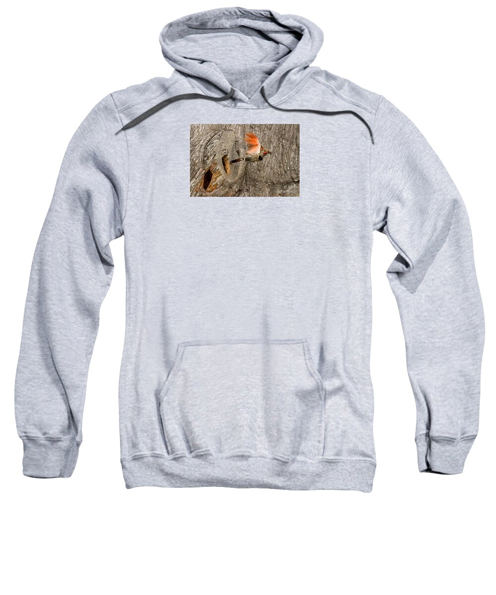 Animal Sweatshirt featuring the photograph Flicker Flight by Alice Cahill