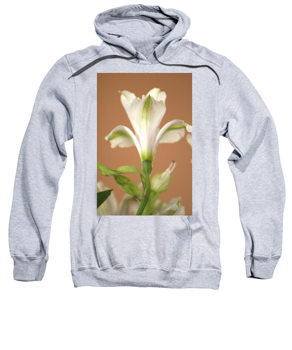 Flower Sweatshirt featuring the photograph Floral Tones by Deborah Crew-Johnson