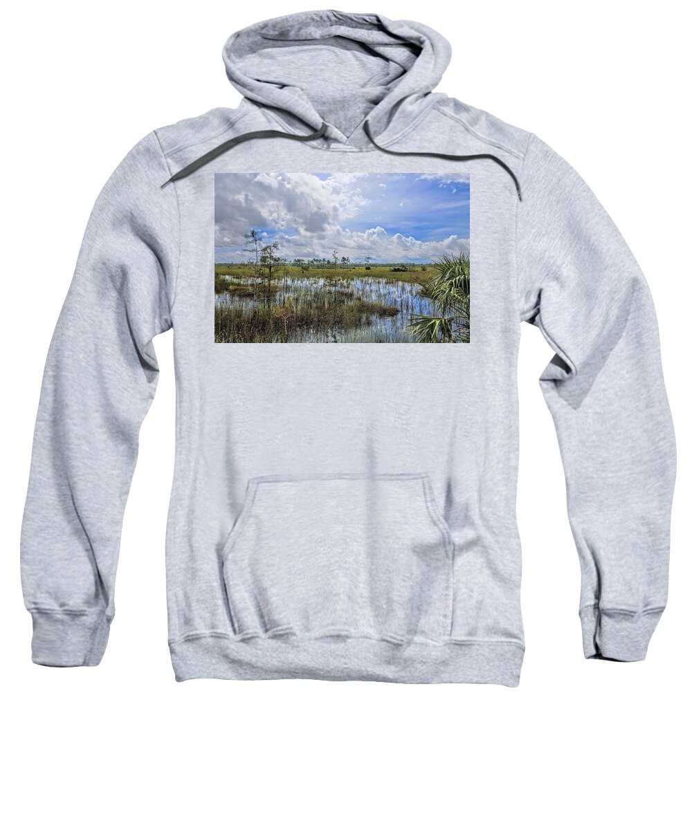 Everglades Sweatshirt featuring the photograph Florida Everglades 0173 by Rudy Umans