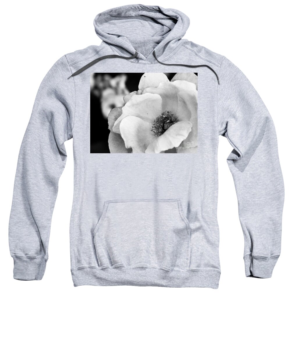 Nature Sweatshirt featuring the photograph For you with Love by Andrea Anderegg