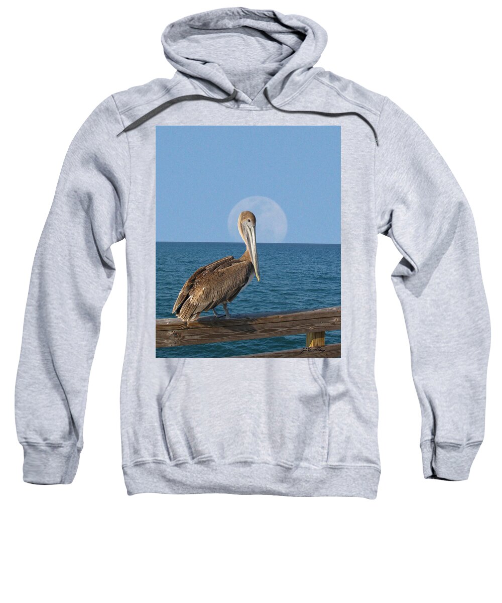 Palozzi Sweatshirt featuring the digital art Full Moon Pelican by John Vincent Palozzi