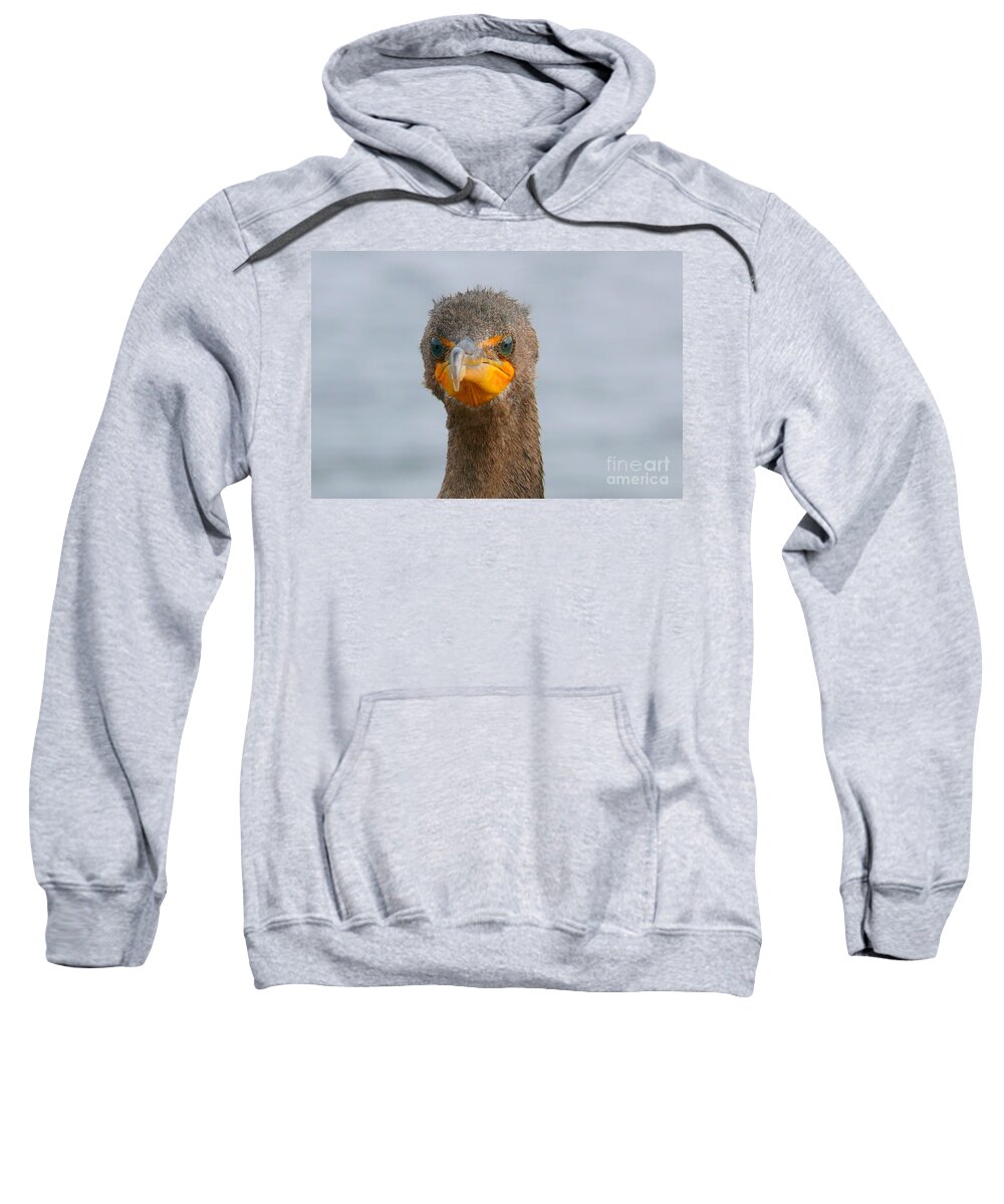 Alive Sweatshirt featuring the photograph Funny looking Bird by Amanda Mohler