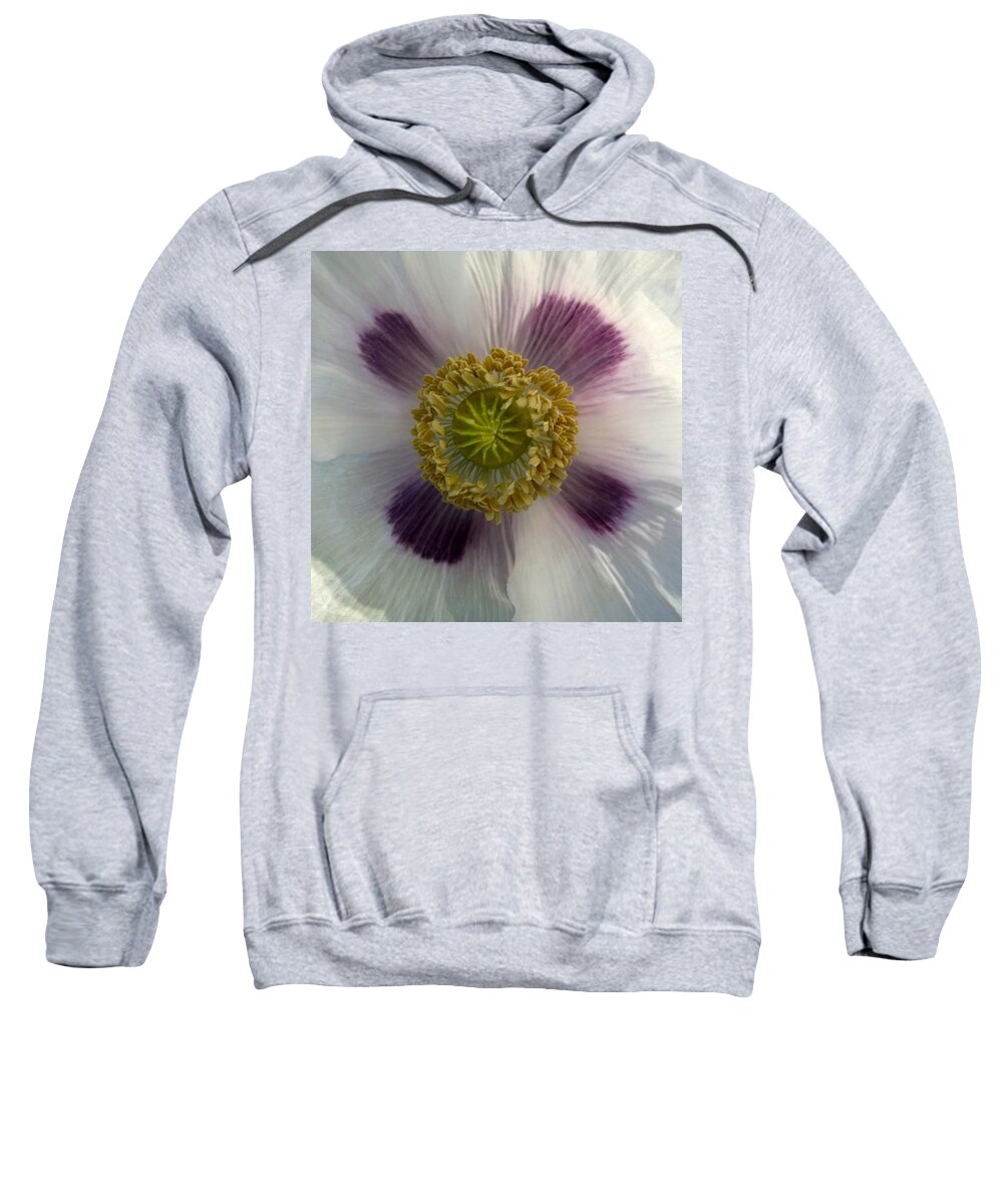 Poppy Sweatshirt featuring the photograph Garden Poppy by Cara Frafjord
