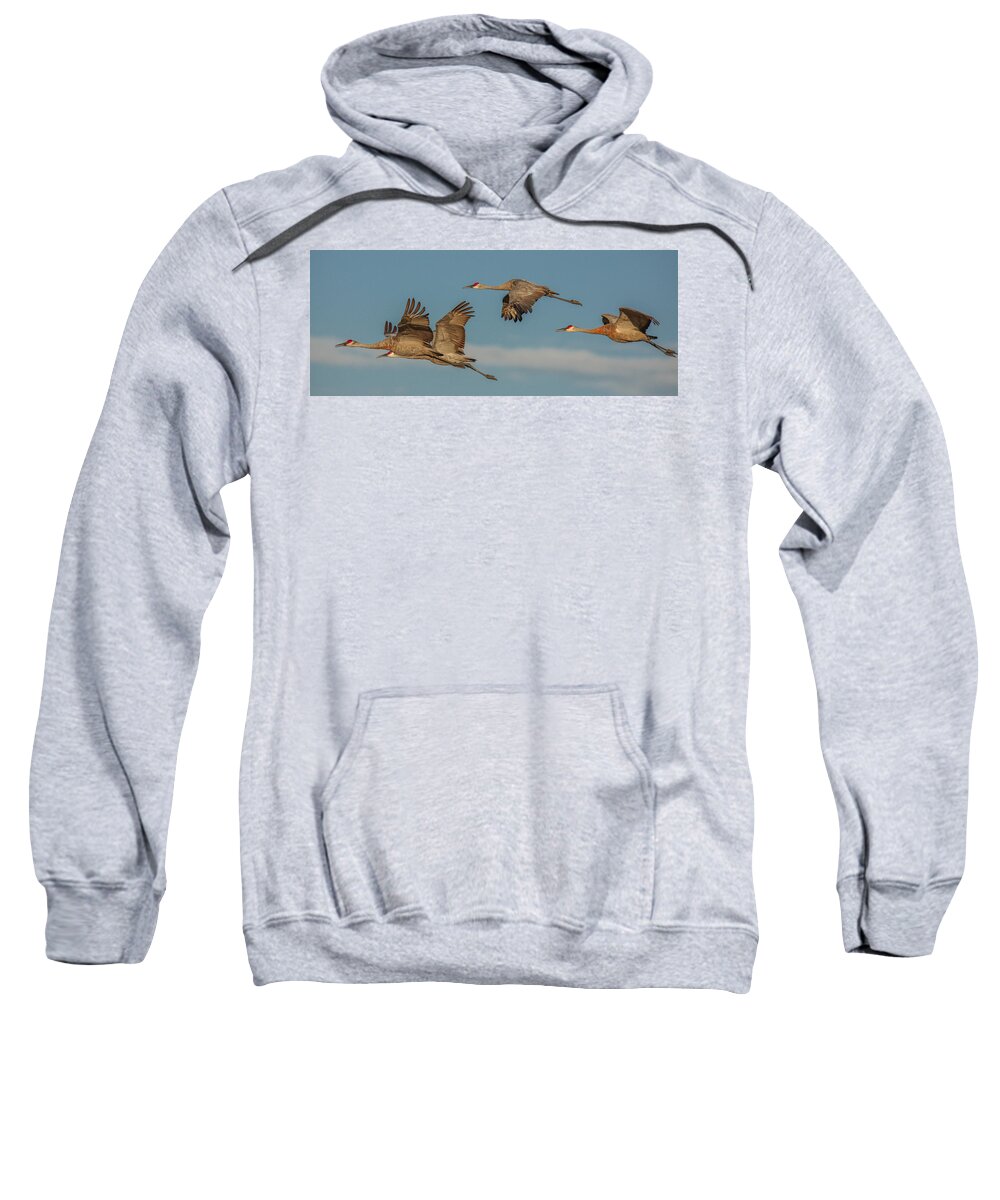 Cranes Sweatshirt featuring the photograph Gathering by Kevin Dietrich