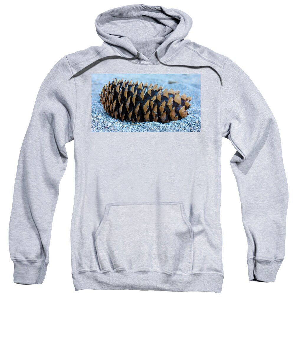 Pinecone Sweatshirt featuring the photograph Giant Pinecone by Josh Bryant