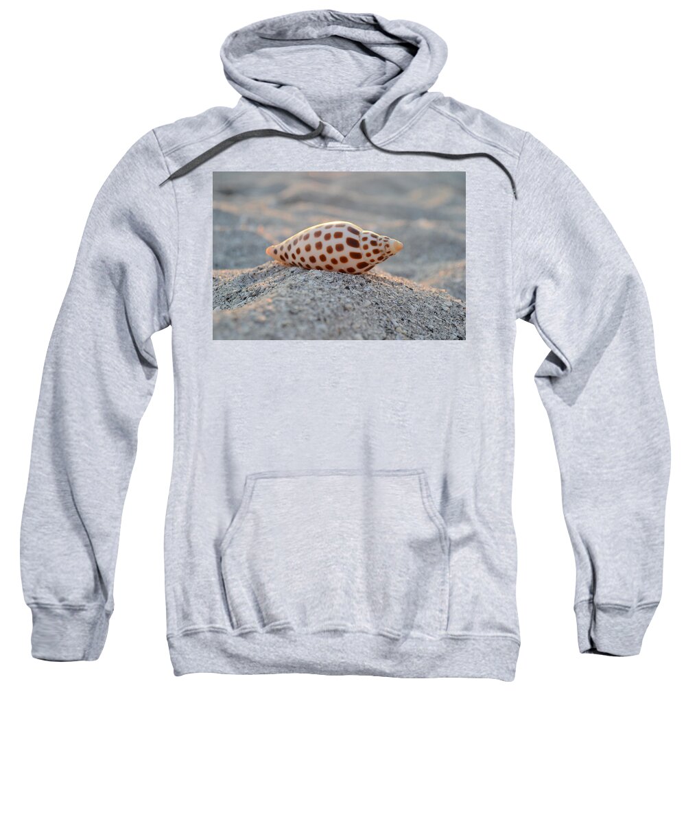 Junonia Sweatshirt featuring the photograph Gift from the Sea by Melanie Moraga