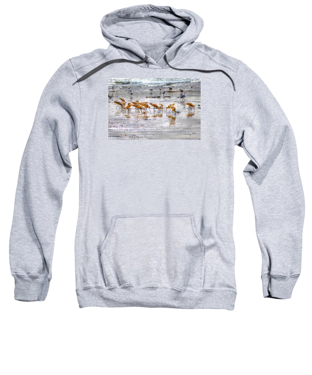 Godwits Sweatshirt featuring the photograph Godwits at San Elijo Beach by Dusty Wynne