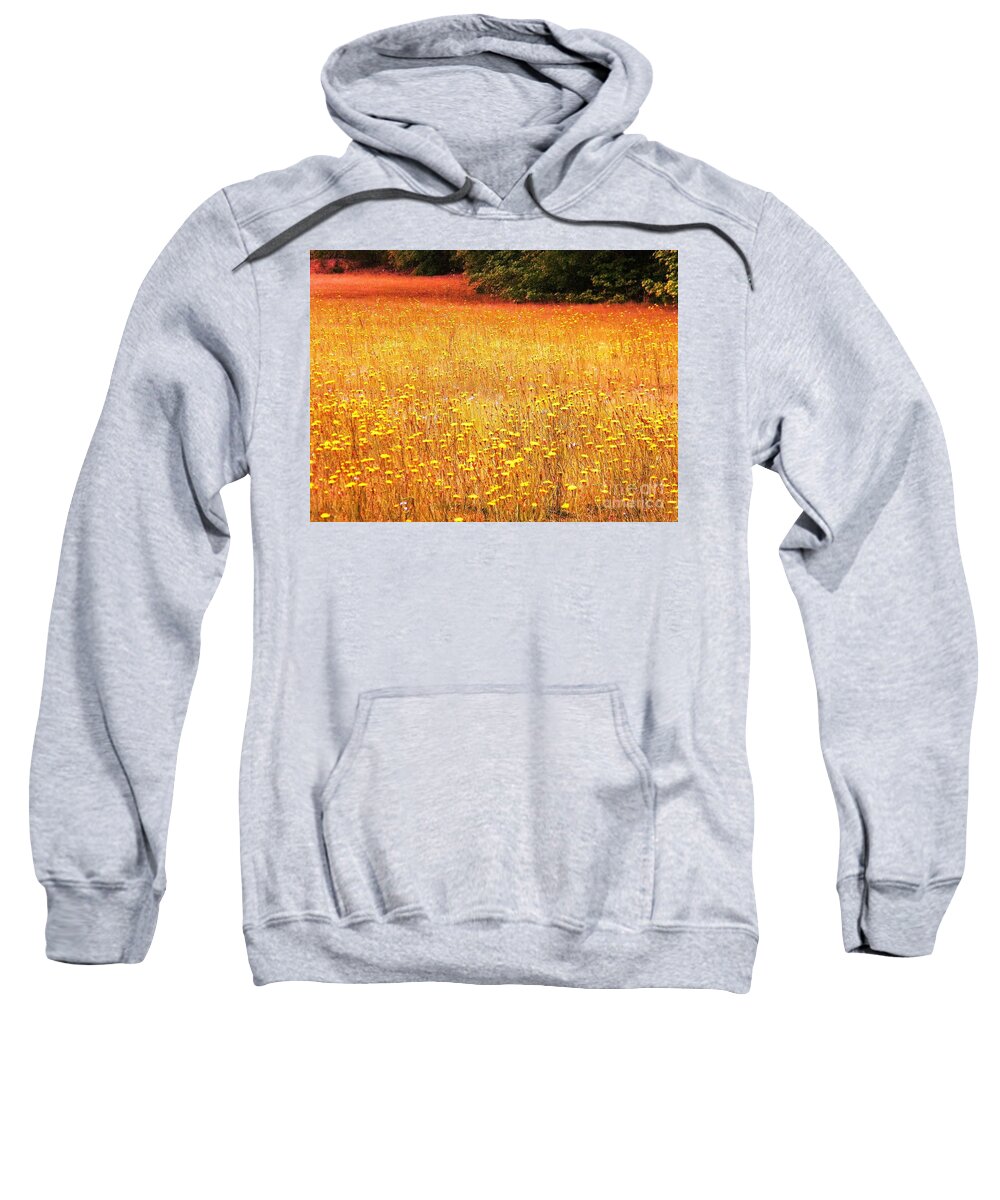 Postcard Sweatshirt featuring the digital art Golden Pastures by Matthew Seufer