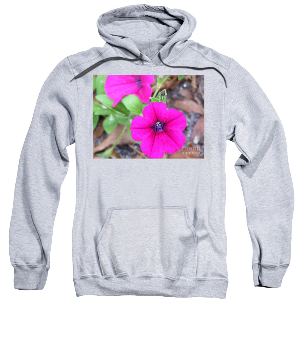 Pink Sweatshirt featuring the photograph Good morning by Andrea Anderegg
