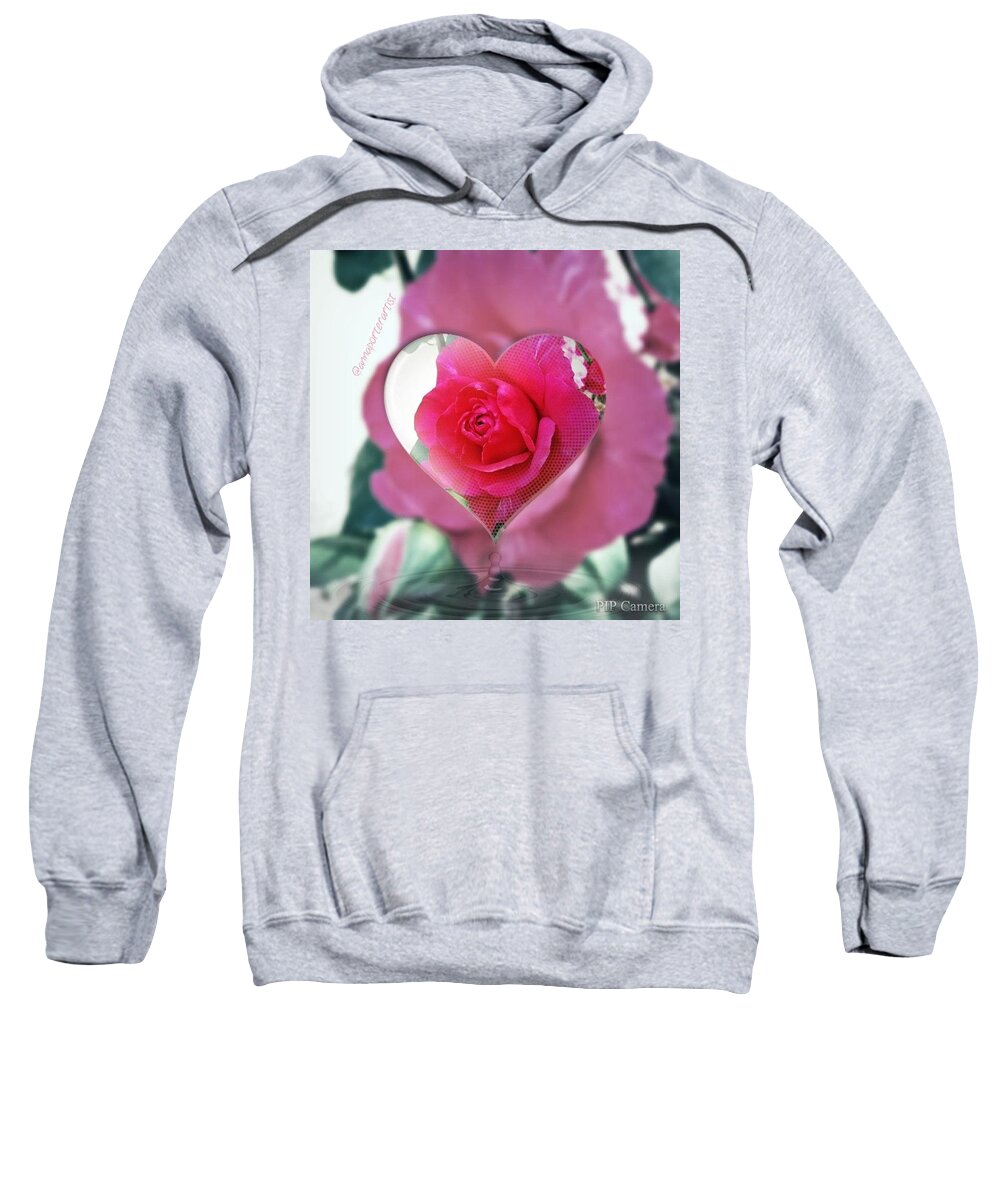 Valentine's Day Rose Sweatshirt featuring the photograph Valentine's Day Rose by Anna Porter