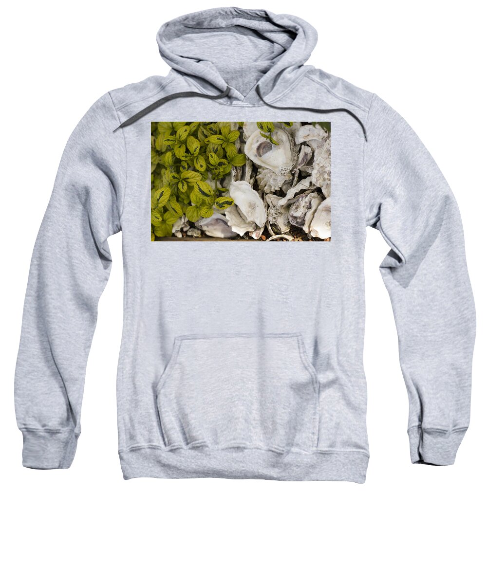 Abalone Sweatshirt featuring the photograph Green Abalone by Bryant Coffey