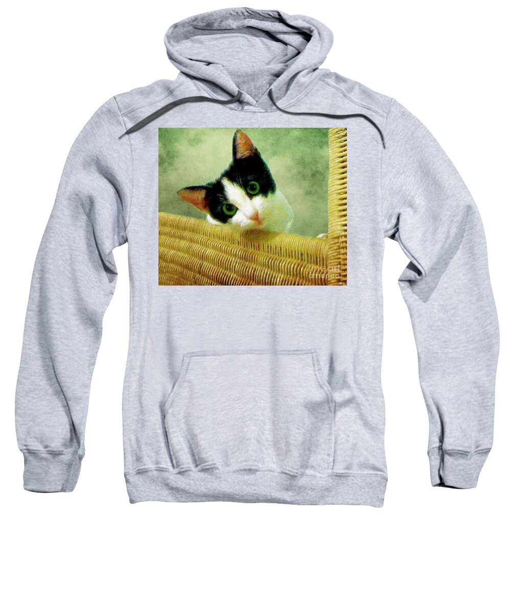 Cat Sweatshirt featuring the photograph Green Eyed Cat on Wicker by Janette Boyd
