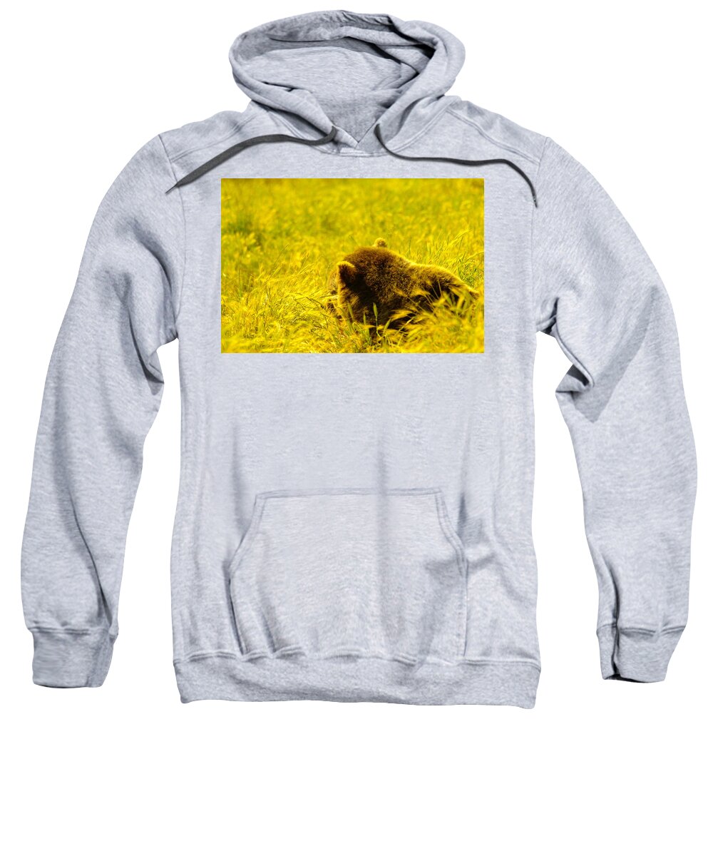 Grizzly Sweatshirt featuring the photograph Grizzily In The Meadow by Jeff Swan