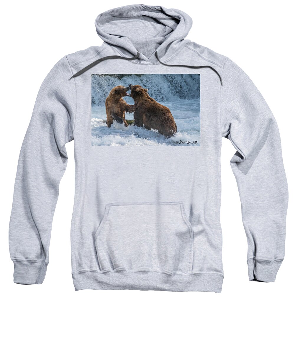 Alaska Sweatshirt featuring the photograph Grizzly fight by Joan Wallner