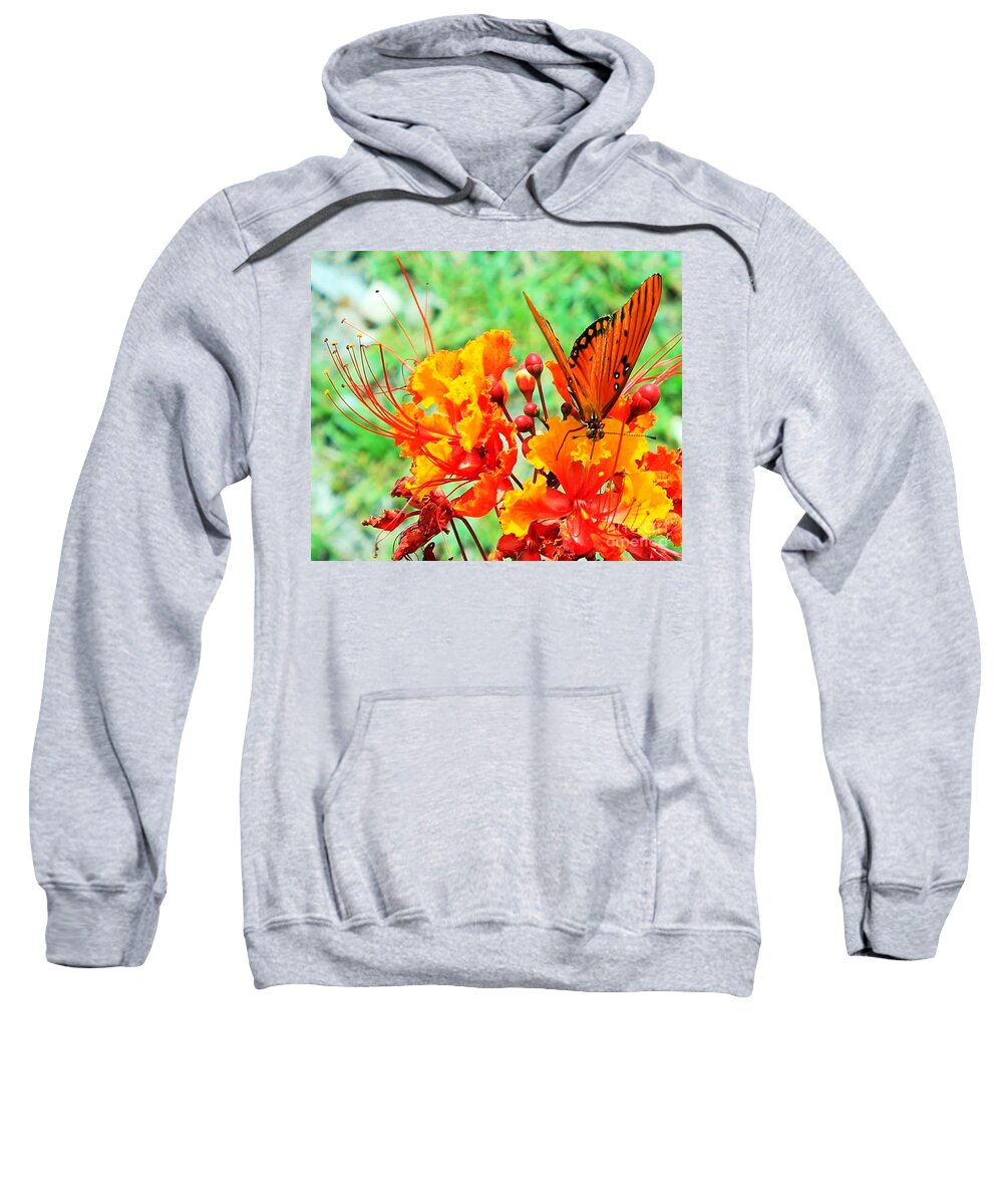 Texas Hill Country Butterfly Sweatshirt featuring the photograph Gulf Fritillary Butterfly on Pride of Barbados by Michael Tidwell