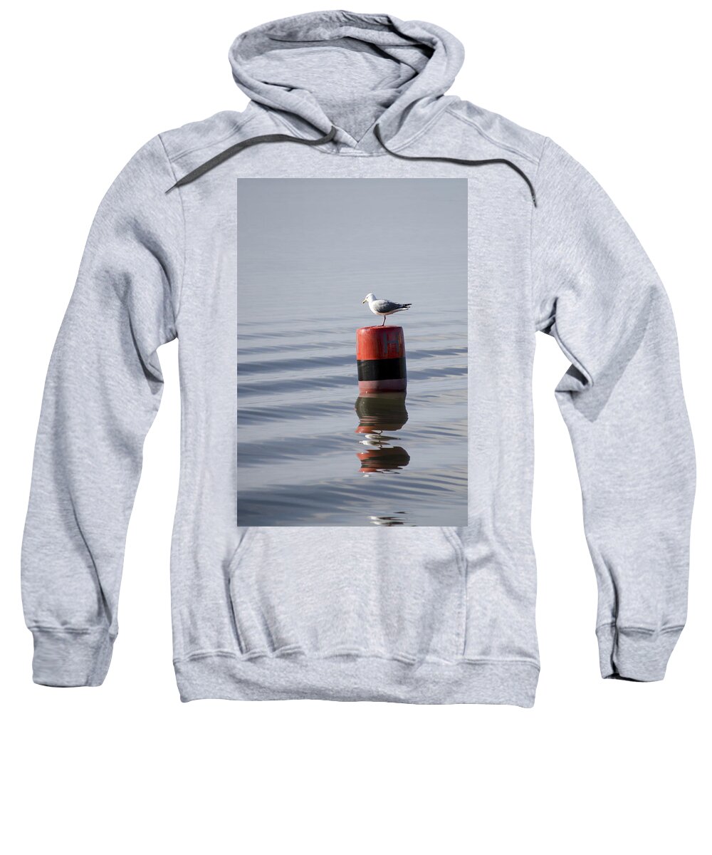 Sand Sweatshirt featuring the photograph Gull by Spikey Mouse Photography