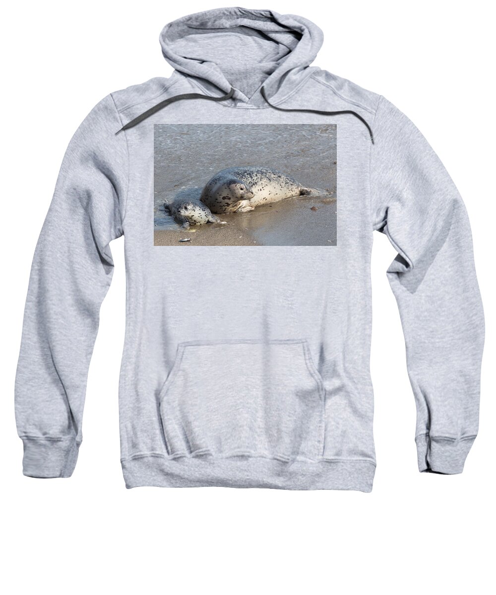 Harbor Seals Sweatshirt featuring the photograph Harbor Seals in the Surf by Kathleen Bishop