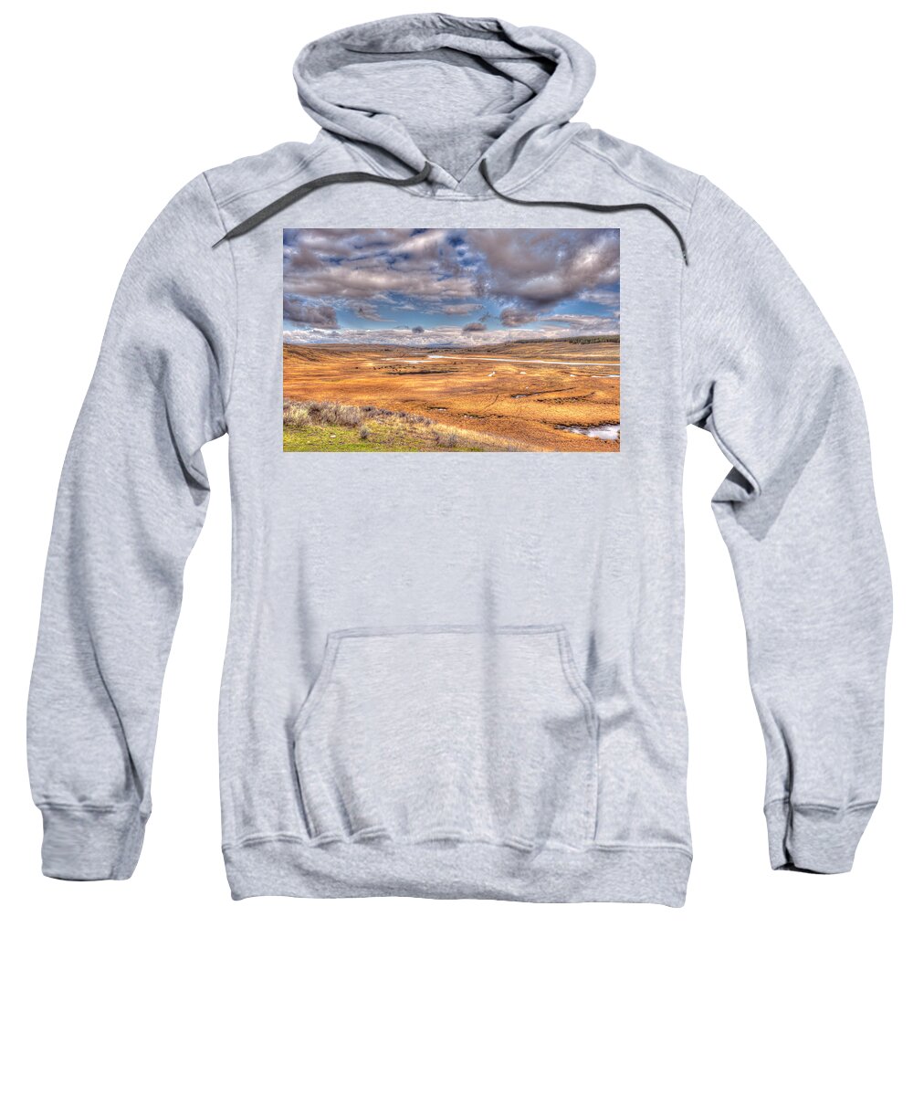 Waterfalls Sweatshirt featuring the photograph Hayden Valley Bison on Yellowstone River by Brenda Jacobs