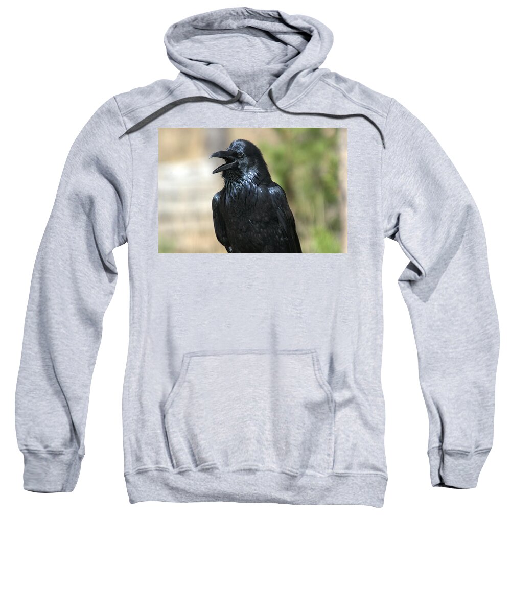 Raven Sweatshirt featuring the photograph Hello. Welcome by Frank Madia