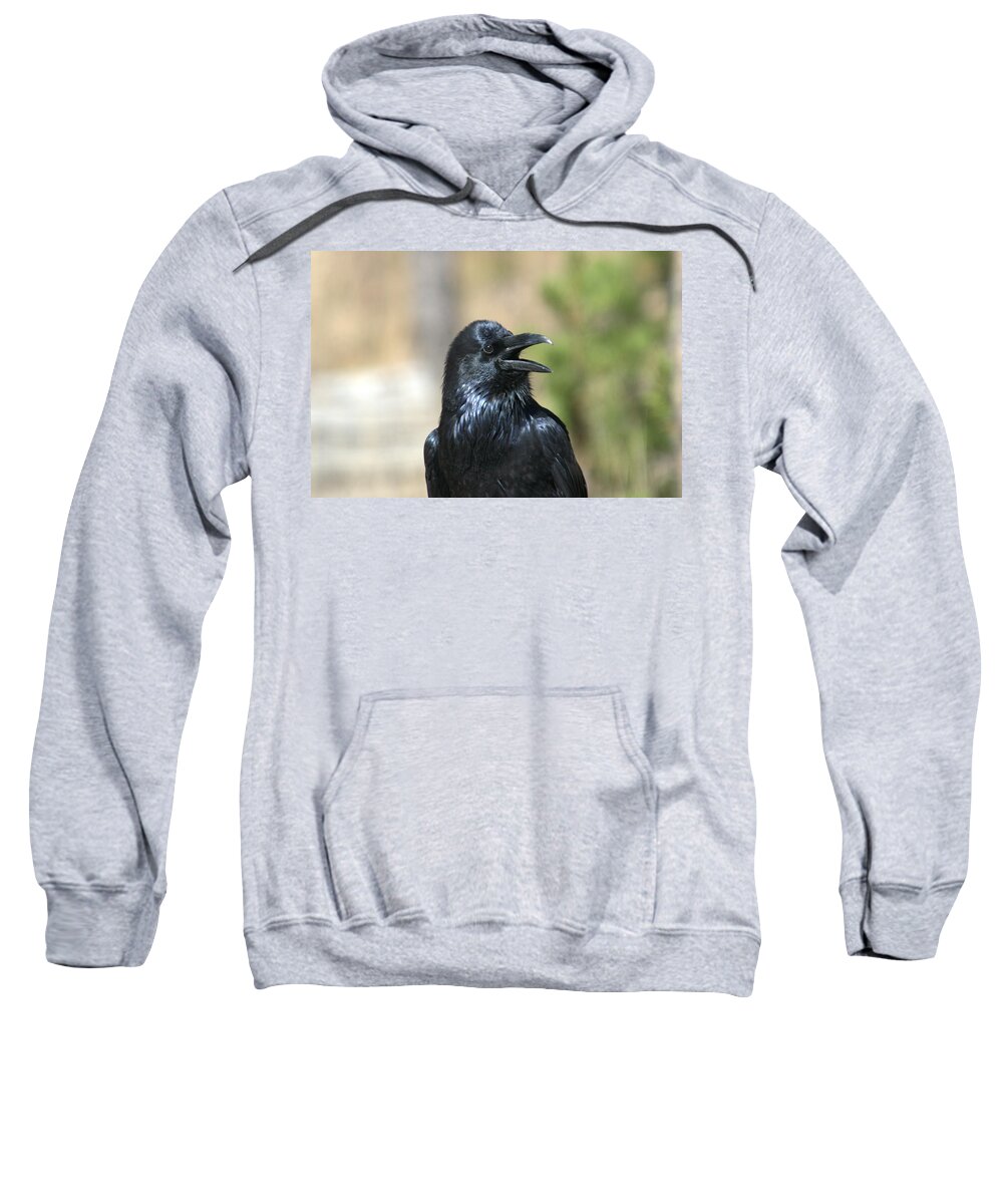 Raven Sweatshirt featuring the photograph He's here somewhere by Frank Madia