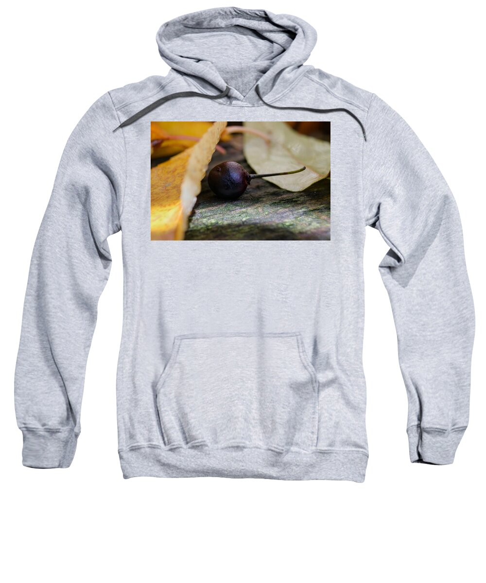 Berry Sweatshirt featuring the photograph Hiding From Fall by Jim Shackett