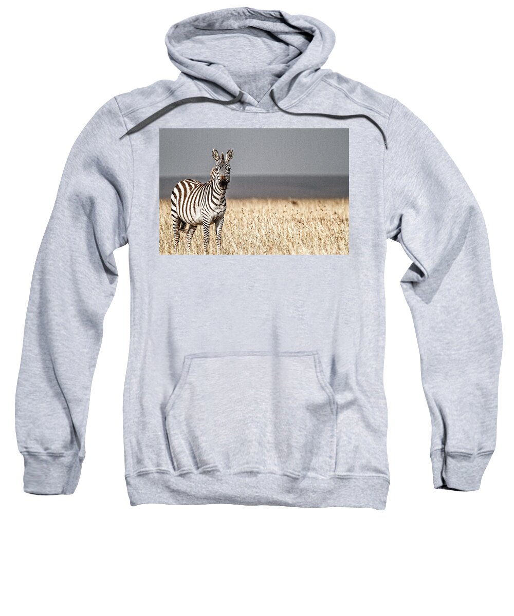 Africa Sweatshirt featuring the photograph High Contrast Zebra by Mike Gaudaur
