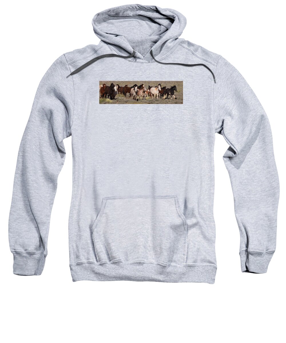 Mustangs Monument 2012 Sweatshirt featuring the photograph High Desert Horses by Diane Bohna