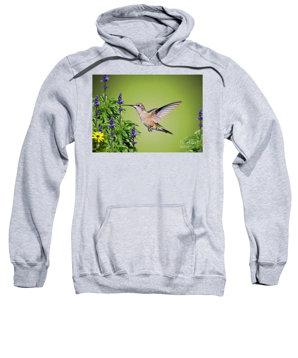 Hummingbird Sweatshirt featuring the photograph Hummingbird On Purple Flowers by Kathy Baccari