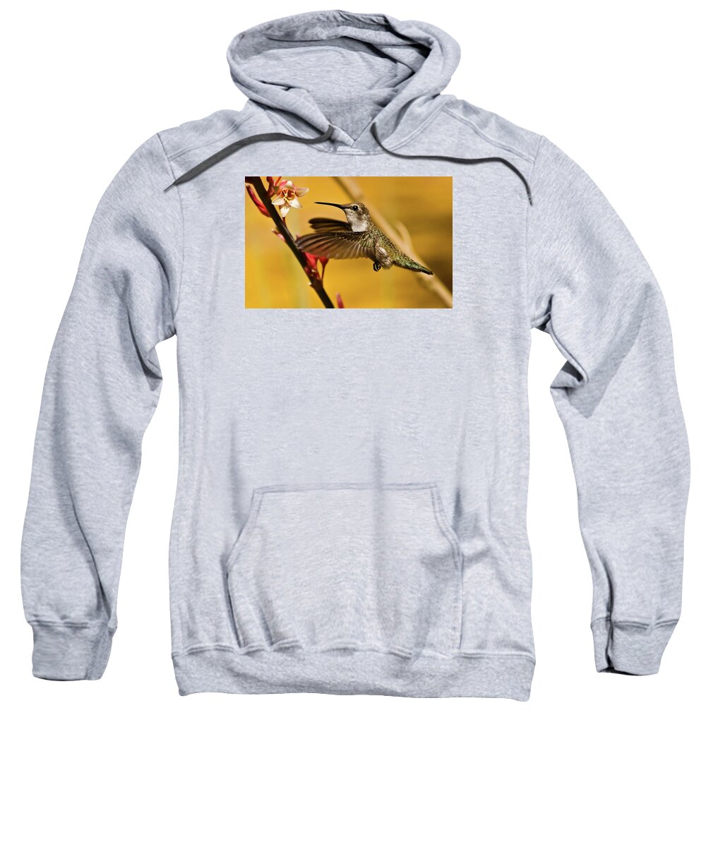 Birds Sweatshirt featuring the photograph Hummingbird by Robert Bales