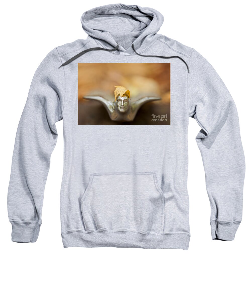 Old-fashioned Sweatshirt featuring the photograph Fall Hood Ornament by Linda D Lester