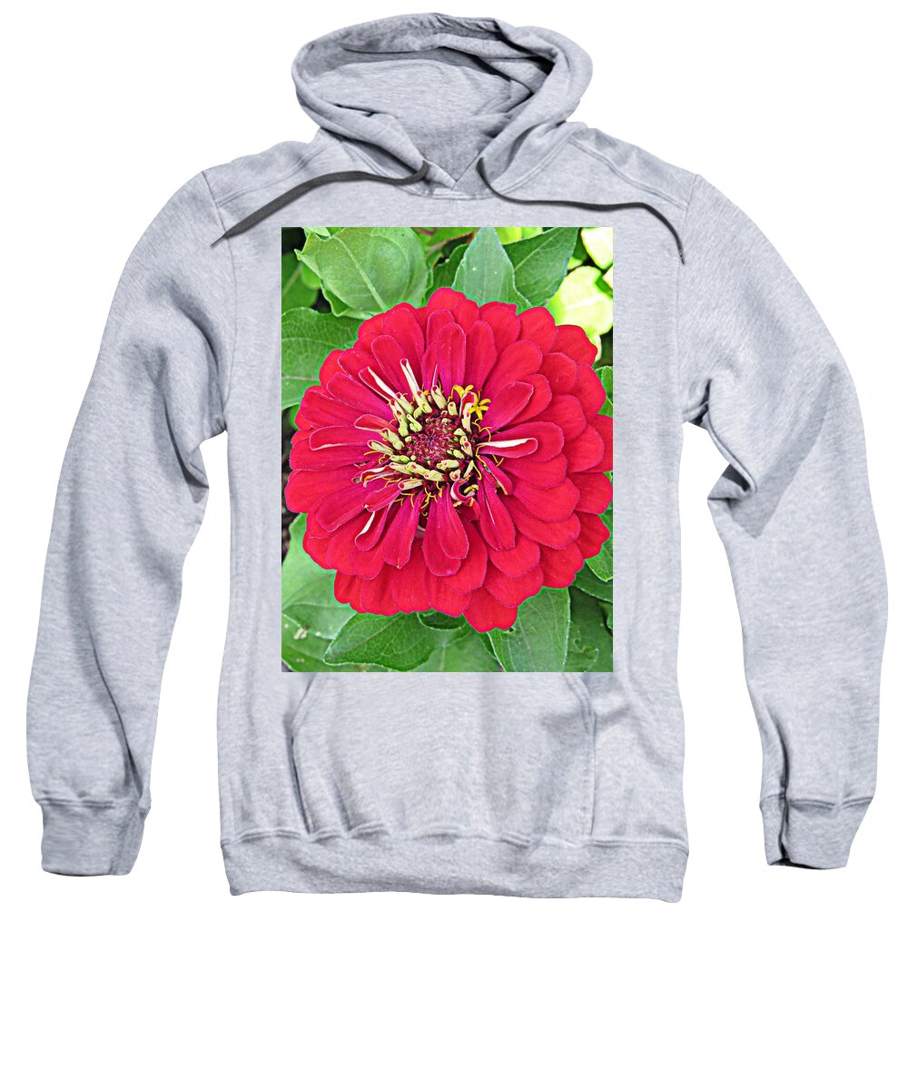 Flower Sweatshirt featuring the photograph I Spy Red by Ella Kaye Dickey