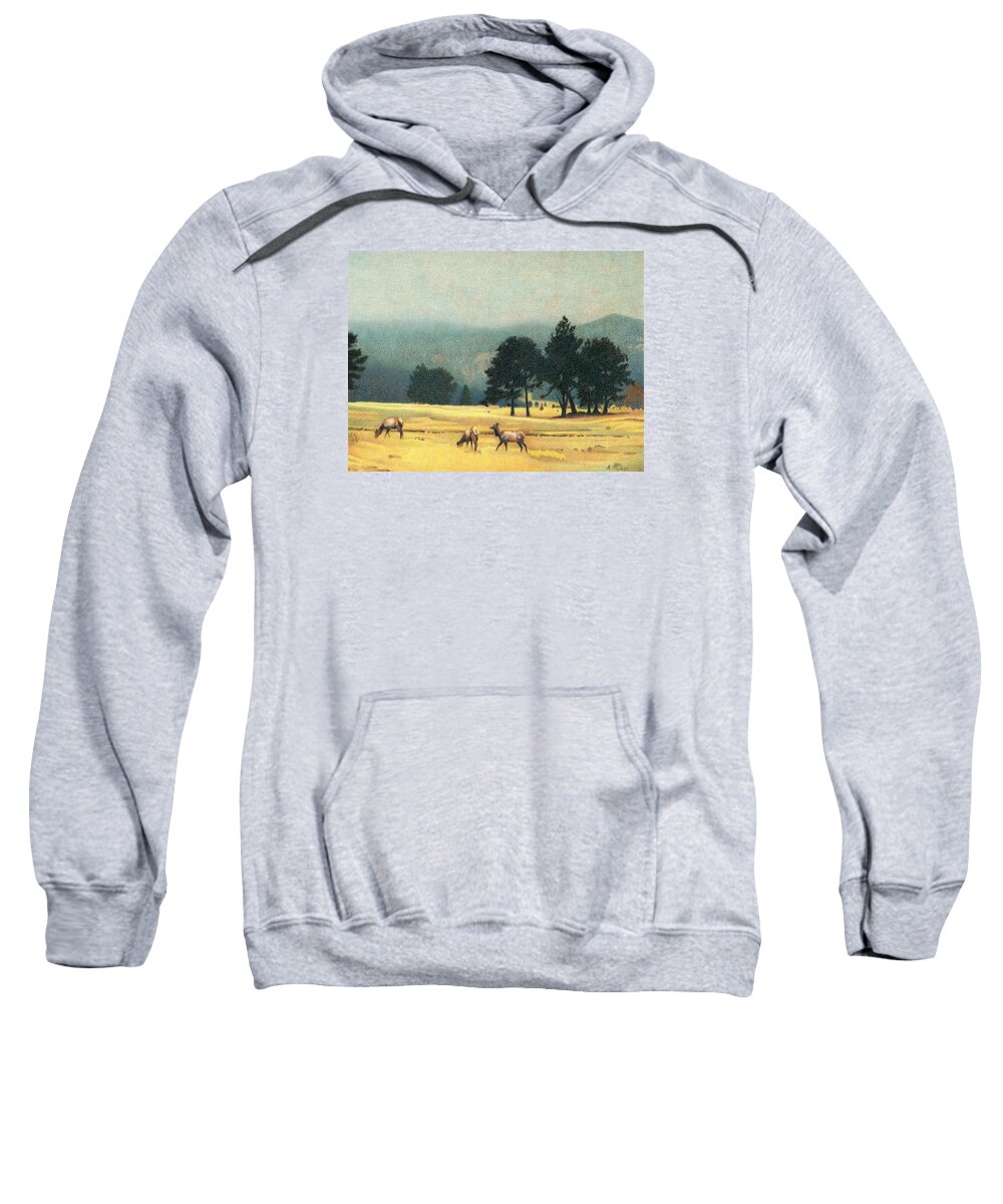 Art Sweatshirt featuring the drawing Impression Evergreen Colorado by Dan Miller