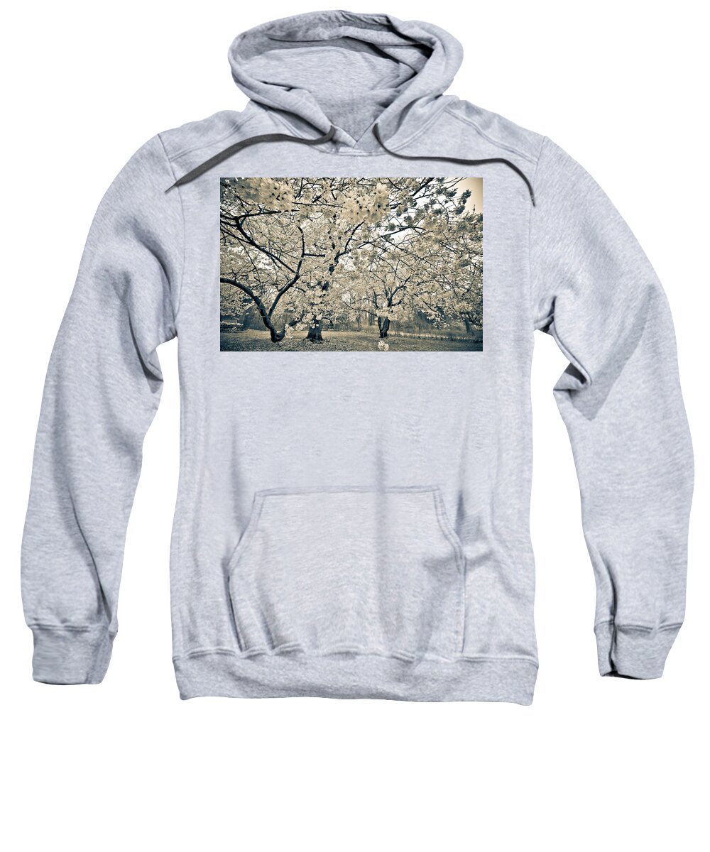 Pennsylvania Sweatshirt featuring the photograph In Bloom by Kristopher Schoenleber