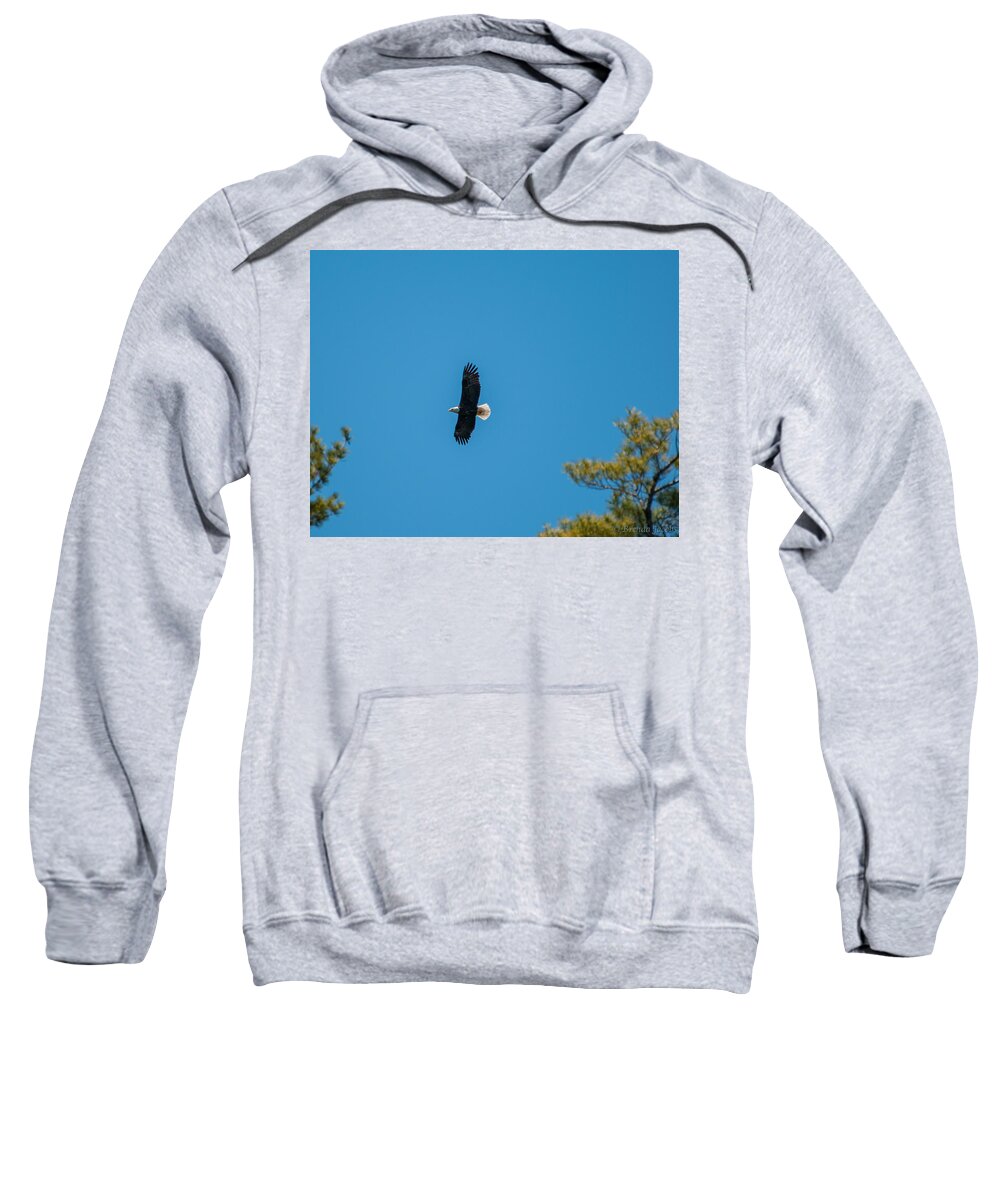 Bald Eagle Sweatshirt featuring the photograph In Flight by Brenda Jacobs