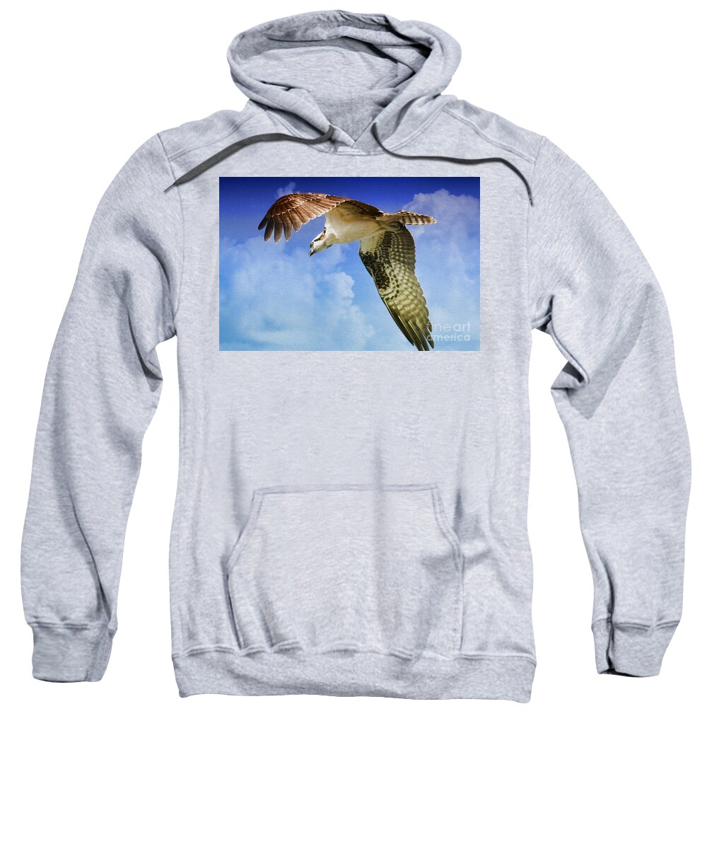 Osprey Sweatshirt featuring the photograph In Search Of by Deborah Benoit