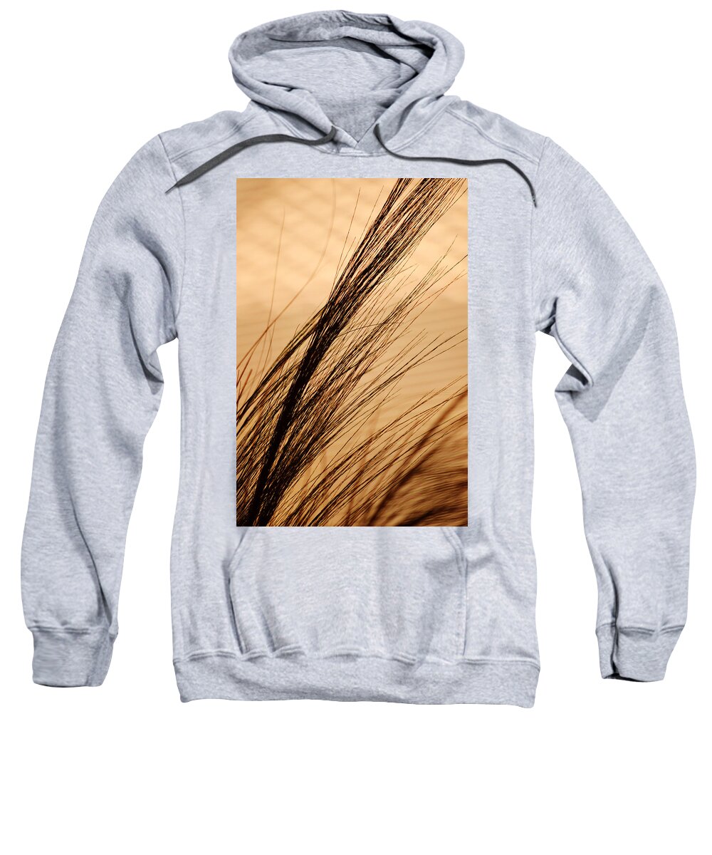 Grass Sweatshirt featuring the photograph Indoor Grasses by Michael McGowan