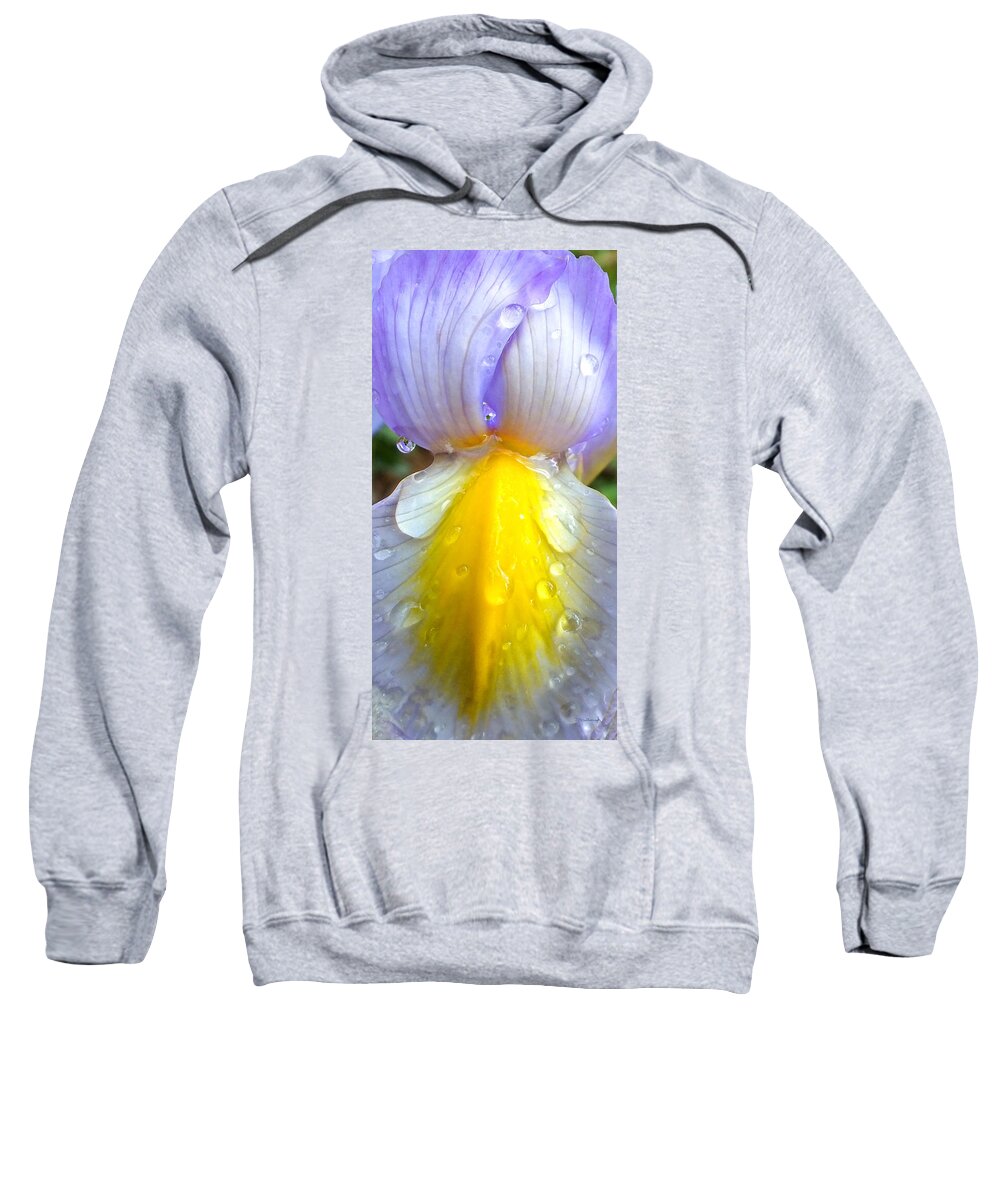 Duane Mccullough Sweatshirt featuring the photograph Iris Flower Petal Upclose by Duane McCullough