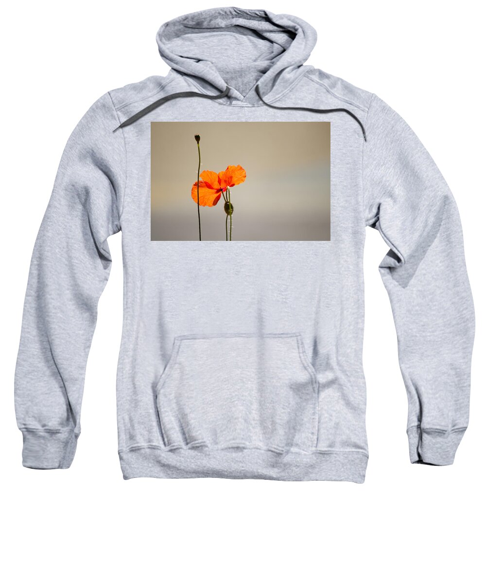 Poppy Sweatshirt featuring the photograph Life by Spikey Mouse Photography