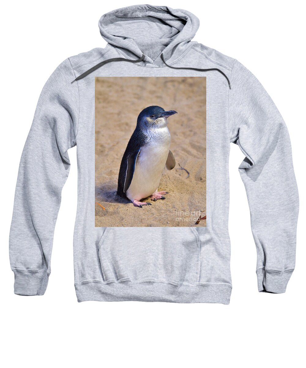 Nature Sweatshirt featuring the photograph Little Penguin by Louise Heusinkveld