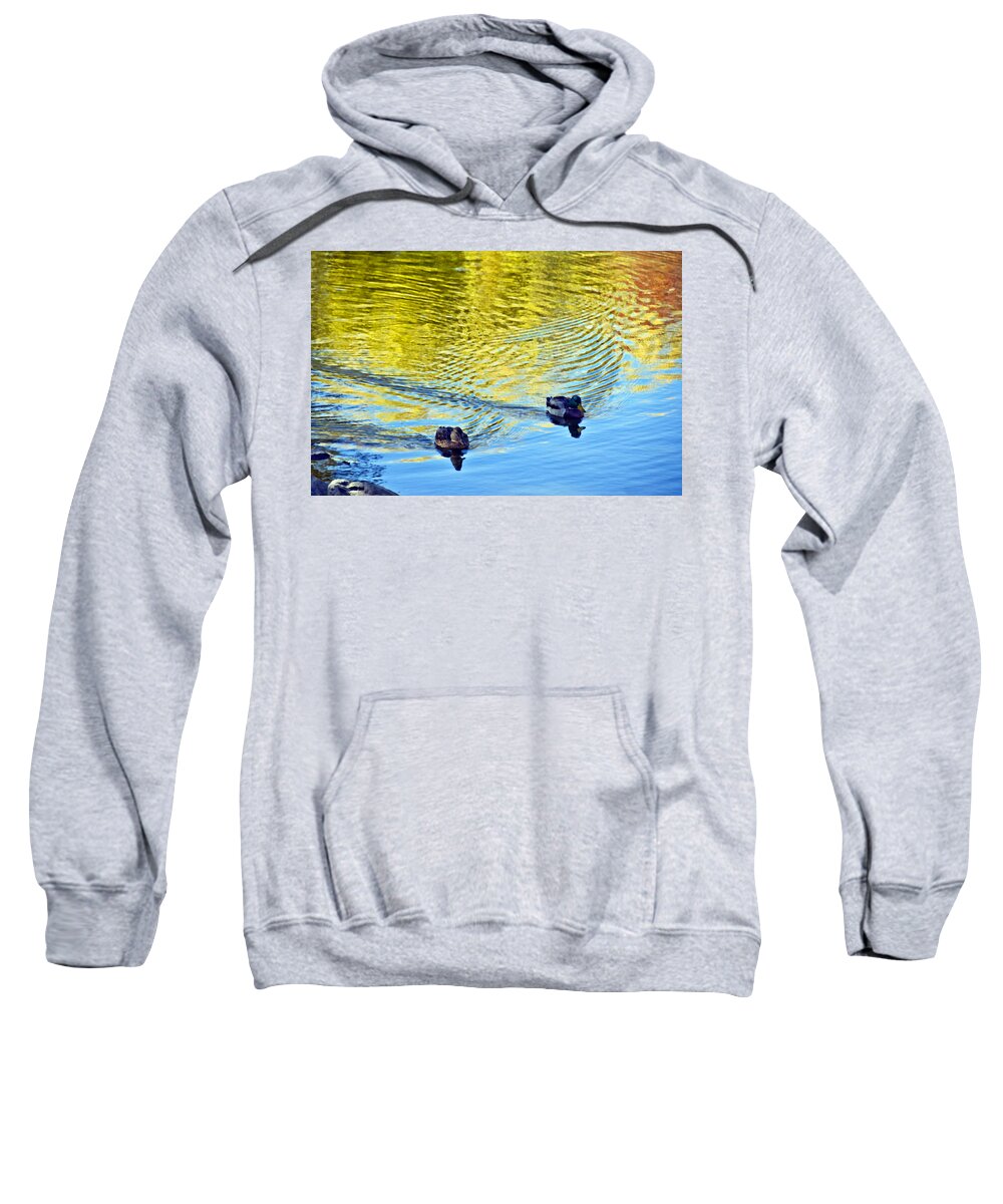Colorado Sweatshirt featuring the photograph Littleton Pond 2 by Angelina Tamez
