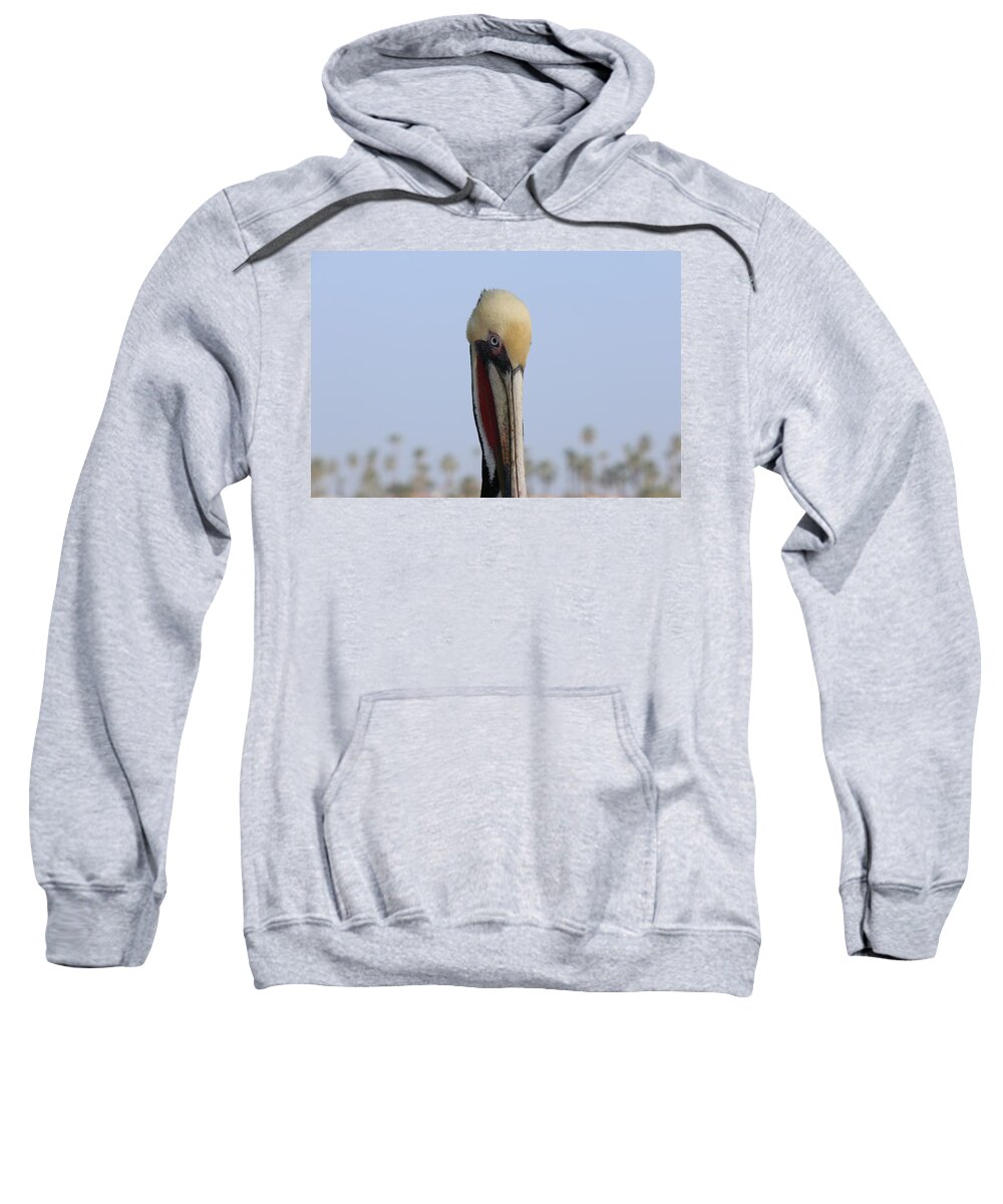 Wild Sweatshirt featuring the photograph Look Into My Eye by Christy Pooschke
